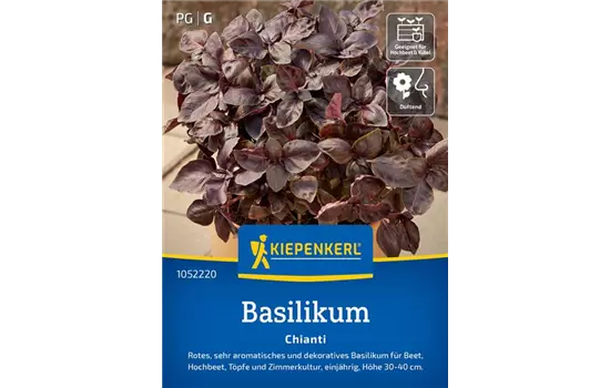 Basilikum Chianti rotblättrig, einjährig