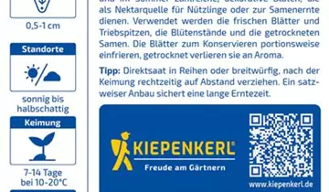 Bildvorschau
