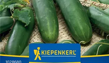 Bildvorschau