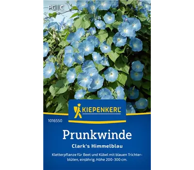 Kaiserwinde Himmelblau