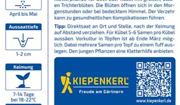 Bildvorschau