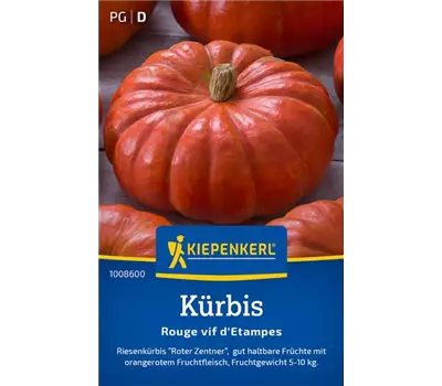 Kürbis Rouge vif dEtampes