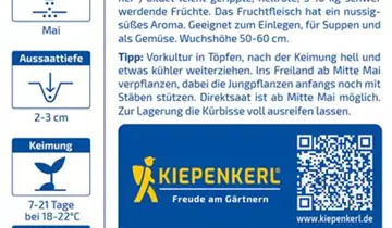 Bildvorschau