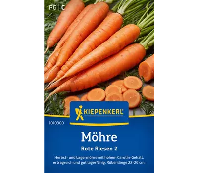 Möhren Rote Riesen 2