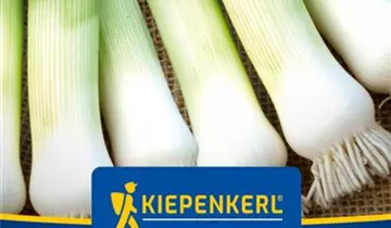 Bildvorschau