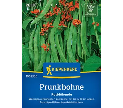 Prunkbohnen Rotblühende