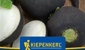 Bildvorschau