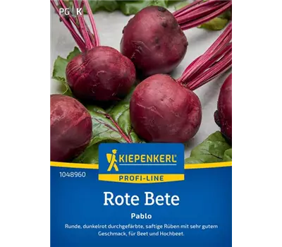 Rote Beete Pablo F1