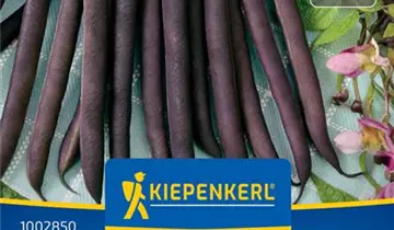 Bildvorschau