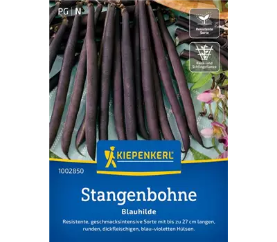 Stangenbohnen Blauhilde