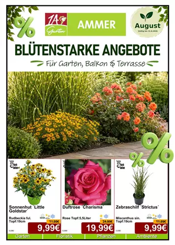 Unsere Aktuelle Monats-Aktion gültig im August