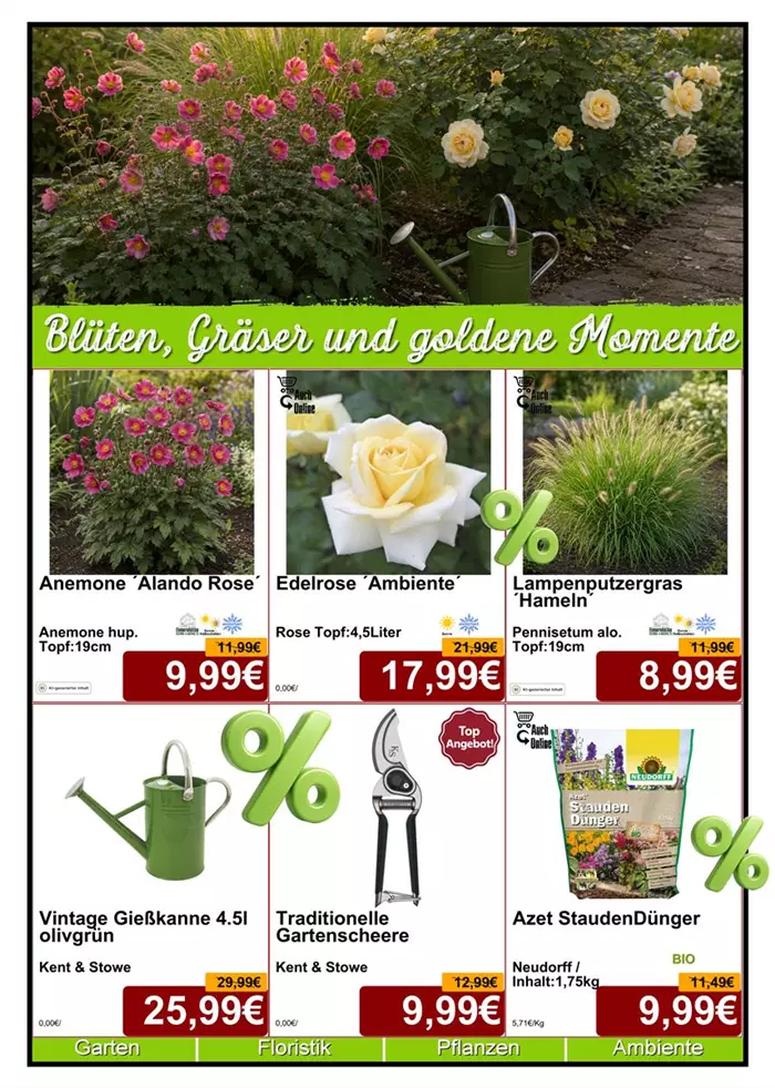 Seite 2 - August 26 - Saison - Din A4 Beilage - 6 x 779px - 1.jpg