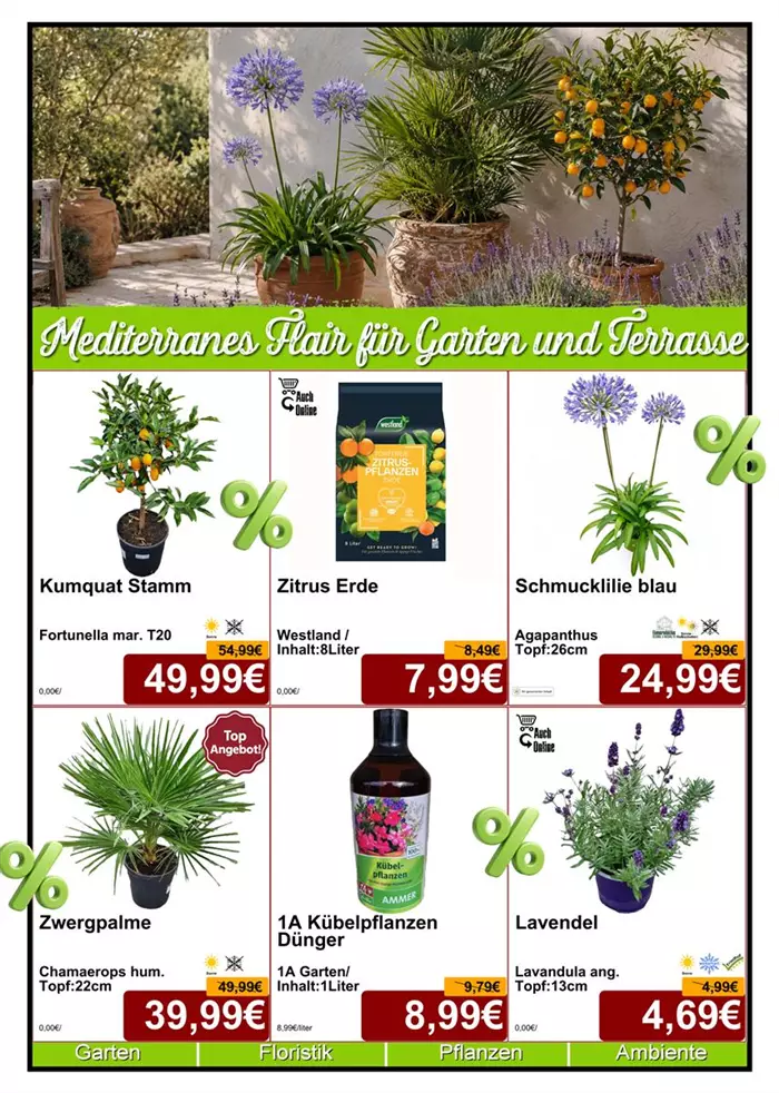 Seite 4 - August 26 - Mediterran - Din A4 Beilage - 6 x 779px - 1.jpg