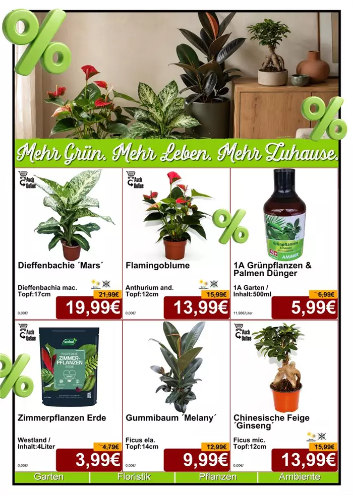 Seite 5 - August 26 - Zimmerpflanze - Din A4 Beilage - 6 x 779px - 1.jpg