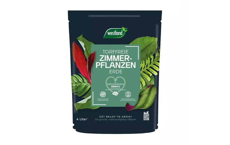 Zimmerpflanzen Erde