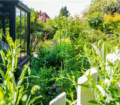Gartenarbeit im August: Tipps und Tricks für einen bunten Sommer