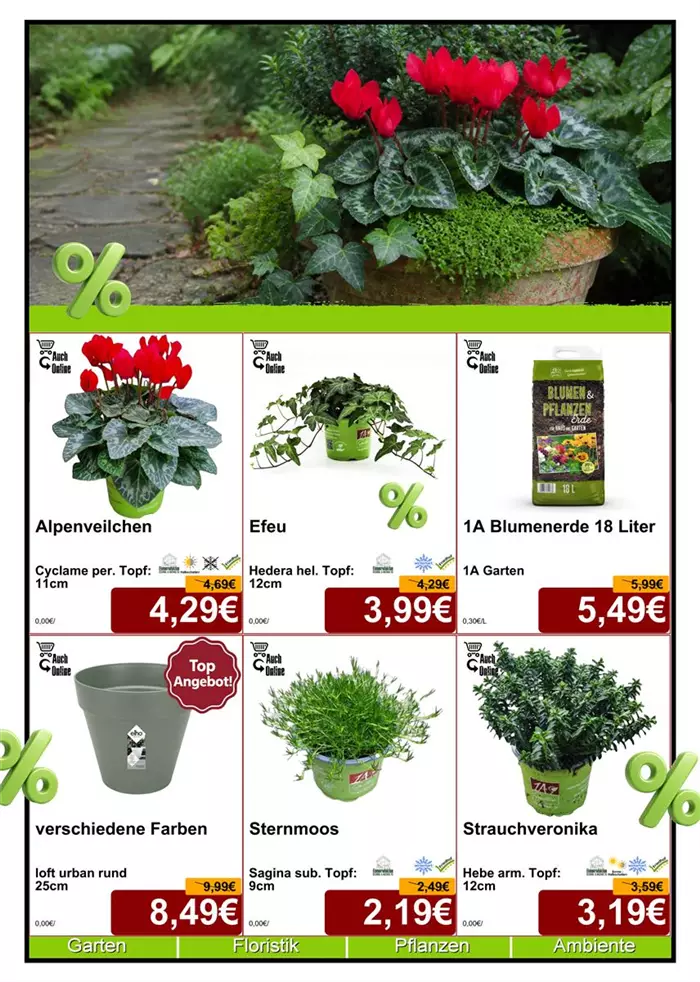 Seite 2 - September 26 - Saison - Din A4 Beilage - 6 x 779px - 1.jpg