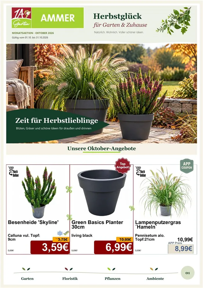 Monatsaktion Oktober 2026 - Seite 1.jpg