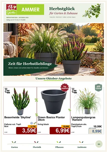 Unsere Aktuelle Monats-Aktion gültig im Oktober