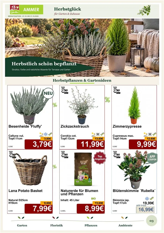 Monatsaktion Oktober 2026 - Seite 3.jpg