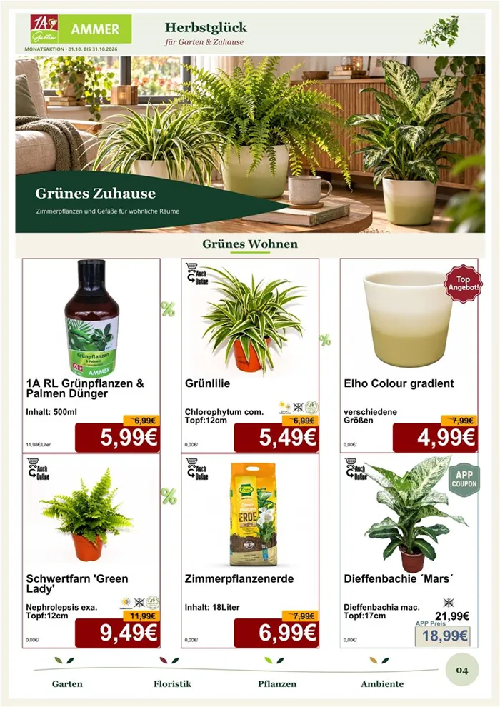 Monatsaktion Oktober 2026 - Seite 4.jpg