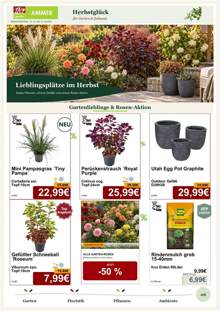 Monatsaktion Oktober 2026 - Seite 6.jpg