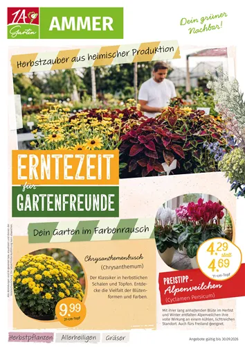 Unsere Aktuelle Prospekt Werbung