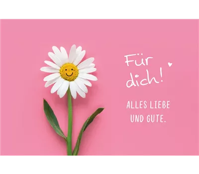 Für Dich Alles Liebe und Gute - Mini-Karte