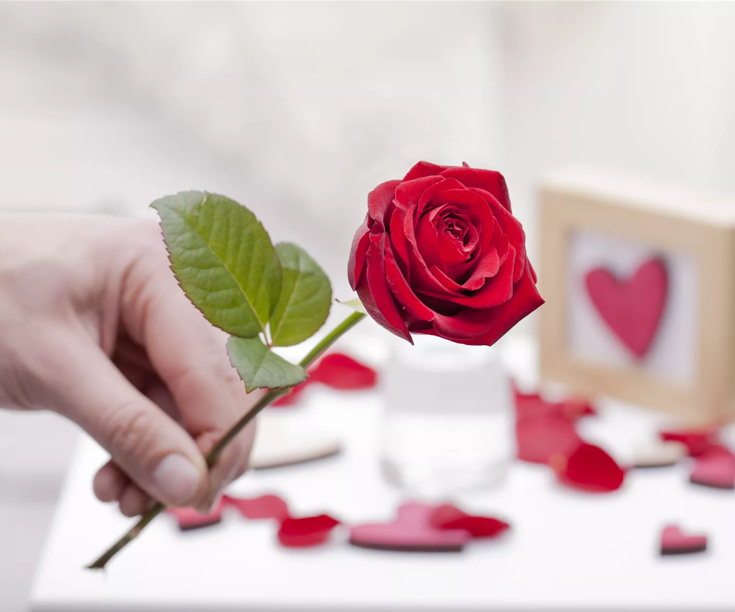 Blühender Valentinstag - für sie und ihn!