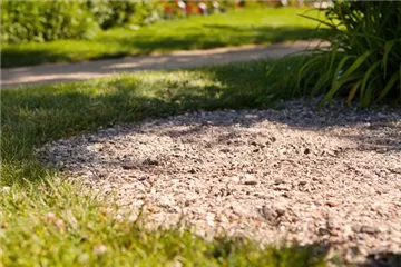 Pflastersteine und Wege – Richtige Pflege bringt lange Freude