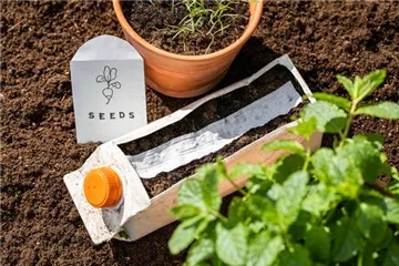 Saatscheiben und -bänder selber herstellen