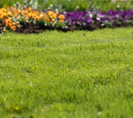 Für jeden Garten den richtigen Rasen