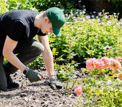 Was bringt der April dem Gärtner an Arbeit?
