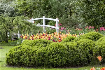 Eine Holzbrücke selber bauen