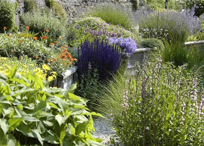 Staudenzeit im Bauerngarten