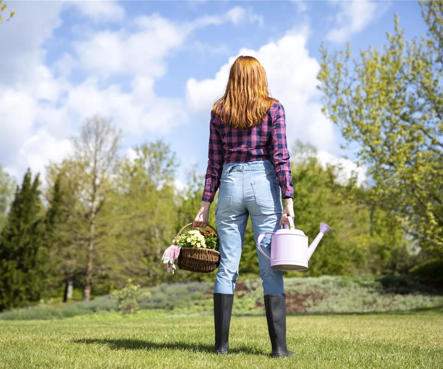 Alles auf Anfang – ein Blumenbeet anlegen