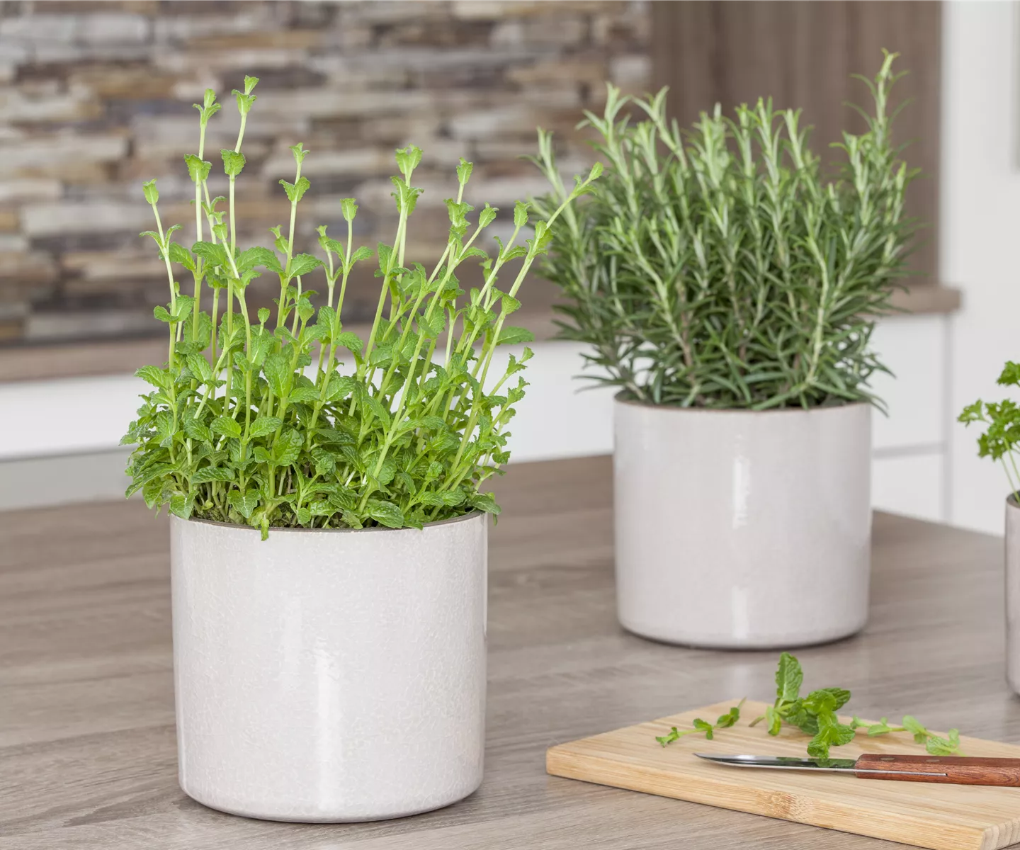 Besondere Kräuter mit ganz besonderen Aromen