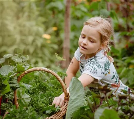 Jetzt kann geerntet werden! Kinder spielerisch einbeziehen