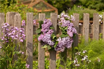 Gartenzäune und Co