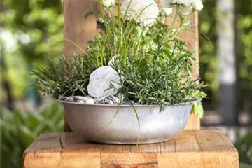 Neues aus kaputten Gartenmöbeln 