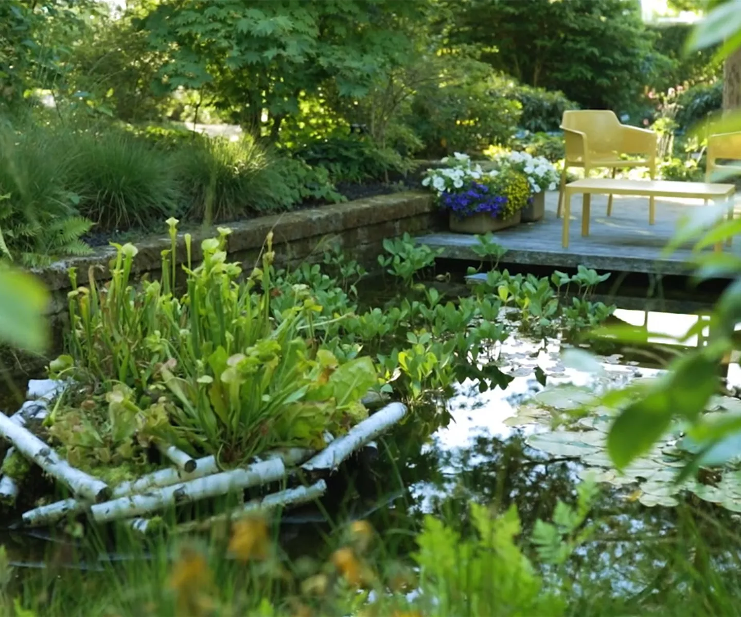 Gartengestaltung - Waldgarten