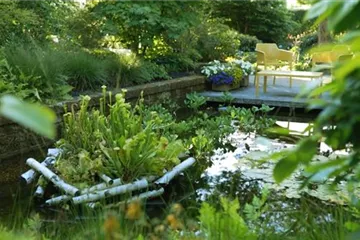 Gartengestaltung - Waldgarten