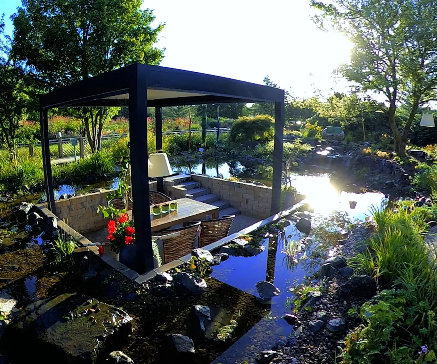 Gartengestaltung - Wassergarten