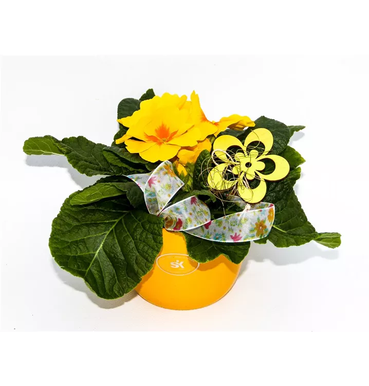 1A Garten Arrangement