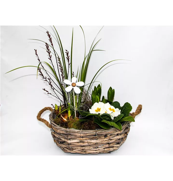 1A Garten Arrangement