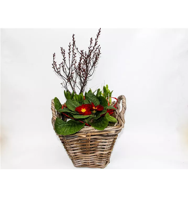 1A Garten Arrangement