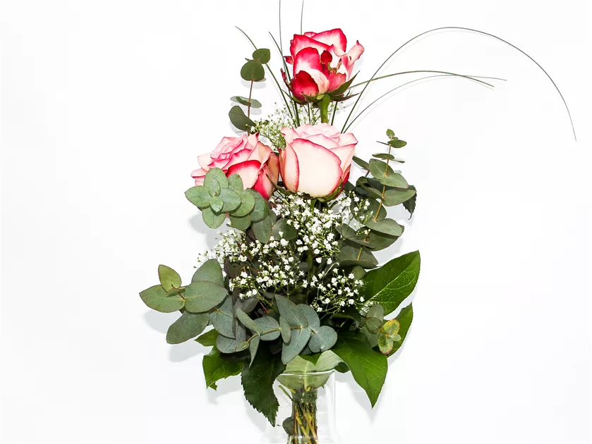 Rosen 3 Stück Rosa-Weiß gebunden mit Eukalyptus und Schleierkraut, 1A Garten Arrangement, Blumensträuße - Online bestellen & kaufen
