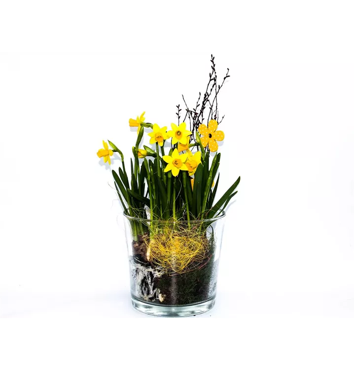 1A Garten Arrangement