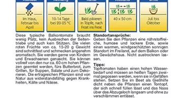 Bildvorschau