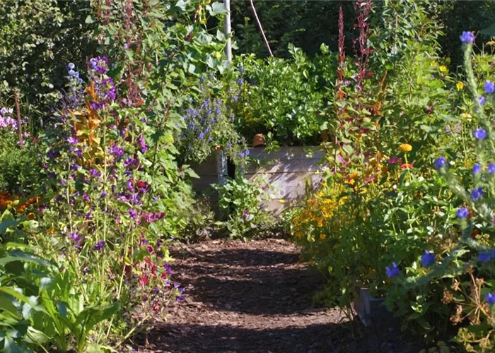 Gartengestaltung - Bauerngarten